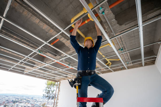 Best Plumbing Inspection Services  in Blue Ridge, VA